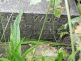 image of grave number 617204